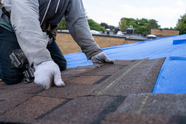 Best Roof Waterproofing Services  in Fairmount, IN